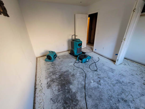Best Flood damage cleanup  in Tower Lakes, IL