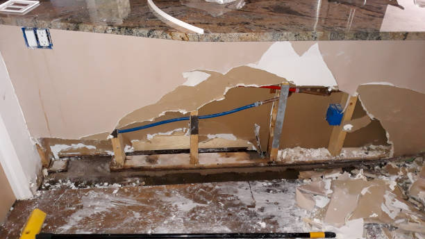 Best Water damage restoration near me  in Tower Lakes, IL