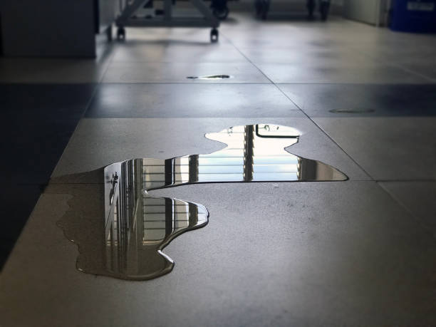  Tower Lakes, IL Water damage restoration Pros