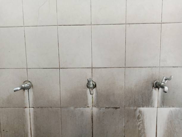 Best Flooded house restoration  in Tower Lakes, IL