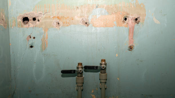 Best 24-hour water damage restoration  in Tower Lakes, IL