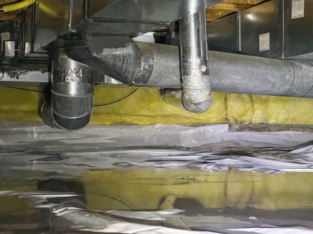 Best Water damage cleanup near me  in Tower Lakes, IL