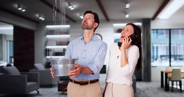 Best Commercial water damage restoration  in Tower Lakes, IL