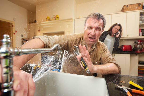 Best Local water damage restoration  in Tower Lakes, IL